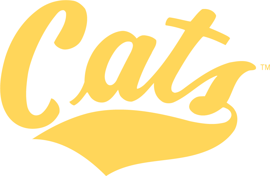 Montana State Bobcats 2004-2006 Wordmark Logo DIY iron on transfer (heat transfer)